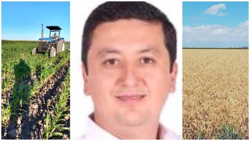 Agricultura y campo severamente afectado en Sinaloa