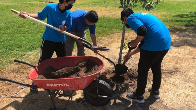 Reforestan SIMPATT y Grupo ASEZ WAO áreas del parque Morelos