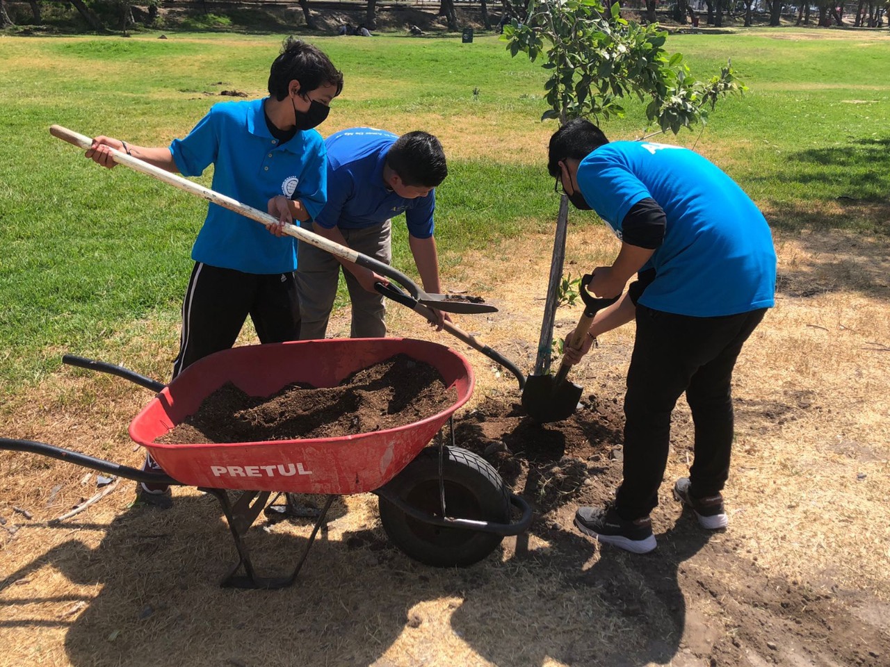 Reforestan SIMPATT y Grupo ASEZ WAO áreas del parque Morelos