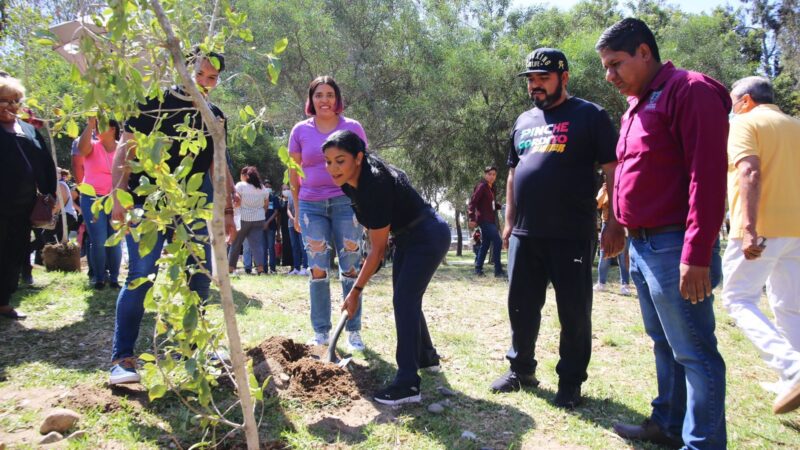 Siembran más de 50 mil árboles en tiempo récord