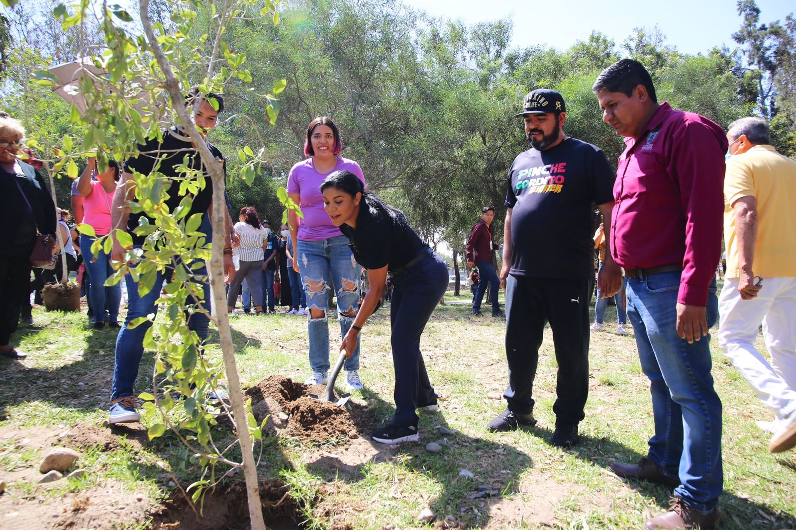 Siembran más de 50 mil árboles en tiempo récord