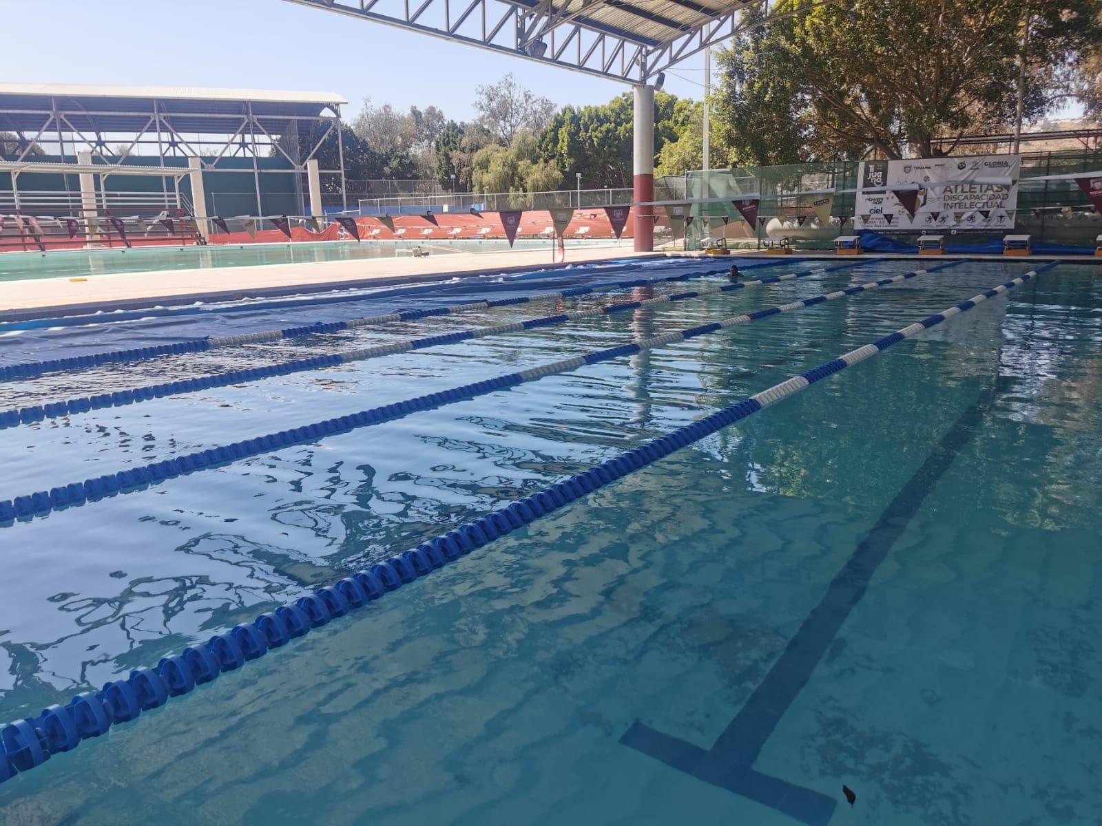 Abren reinscripciones e inscripciones para curso de natación en IMDET