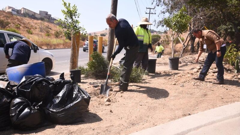 Atienden 71 basureros clandestinos en vialidades de Tijuana