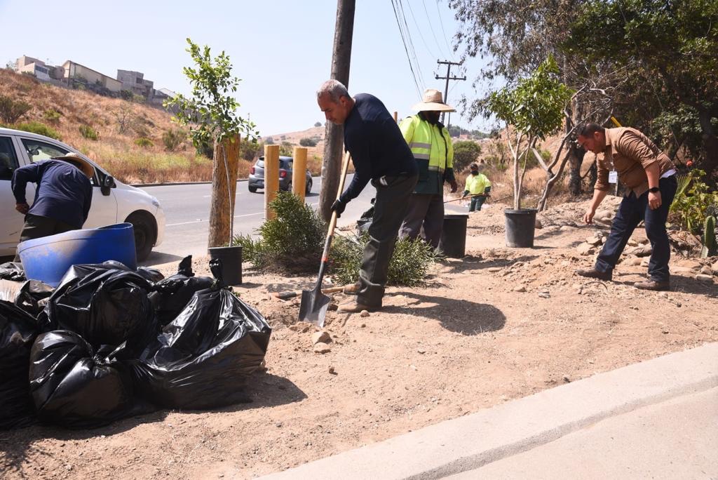 Atienden 71 basureros clandestinos en vialidades de Tijuana