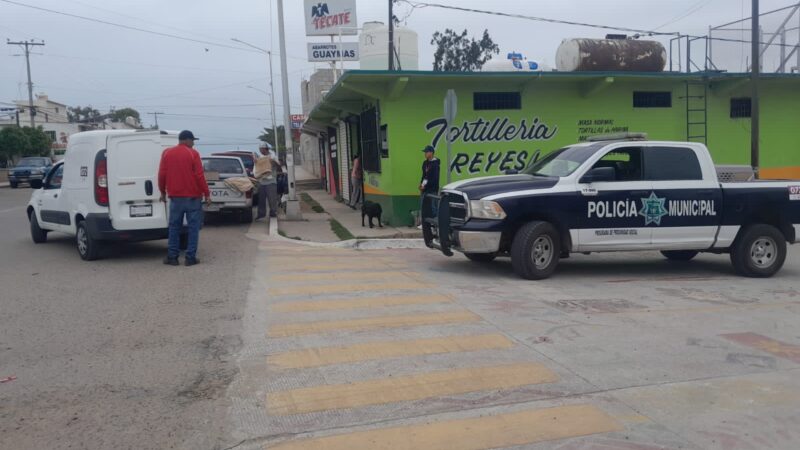 Operativo de control animal en Ávila en coordinación con la unidad canina K-9