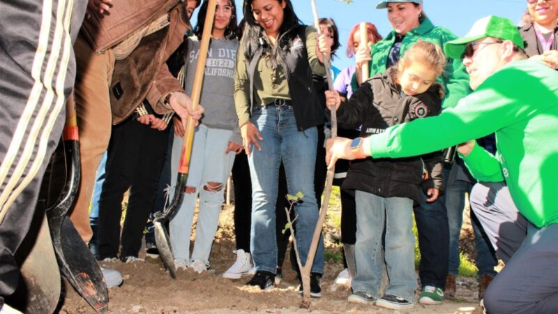 Arranca jornada de forestación en Cerro de las Abejas en Tijuana