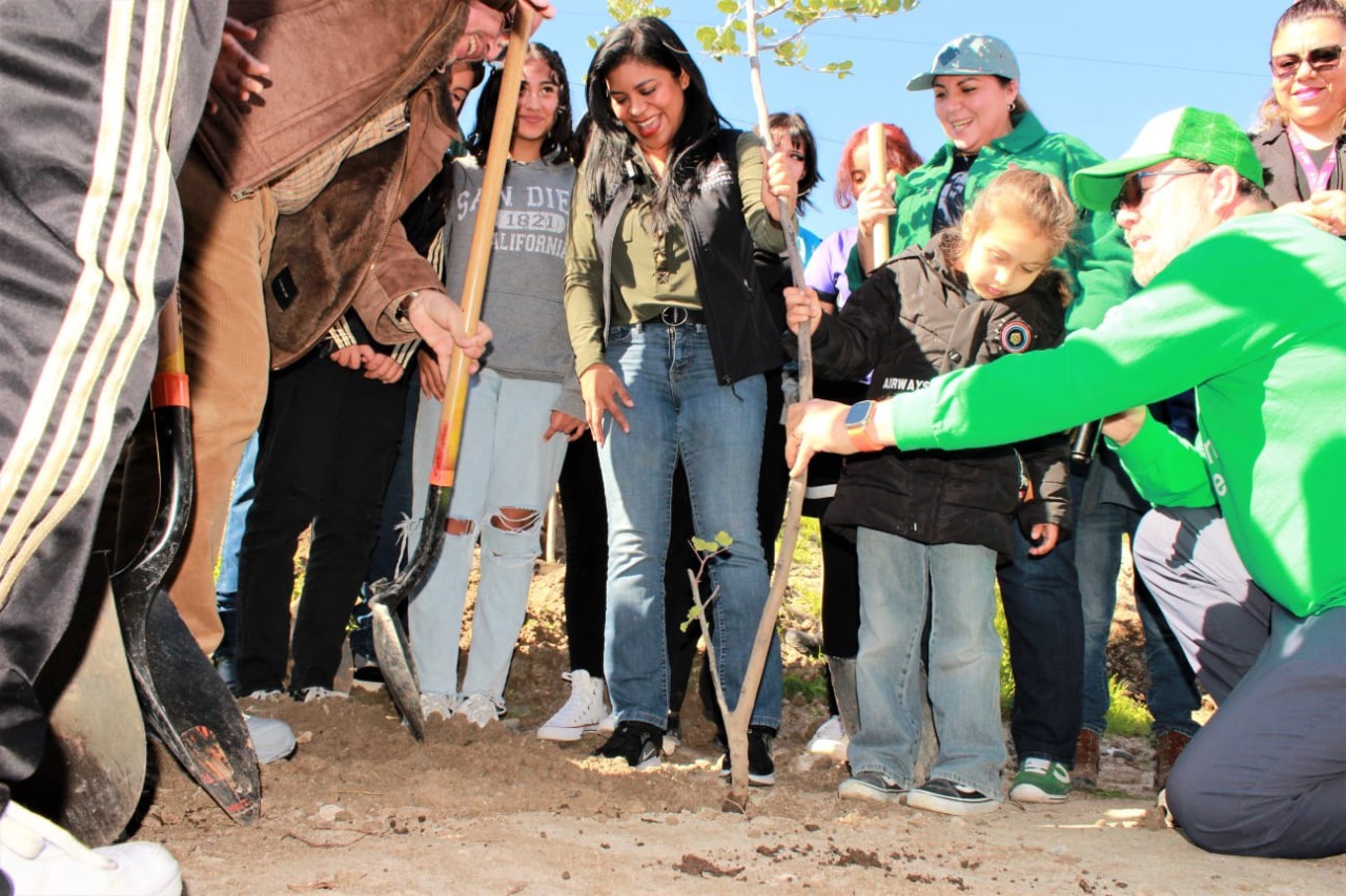 Arranca jornada de forestación en Cerro de las Abejas en Tijuana