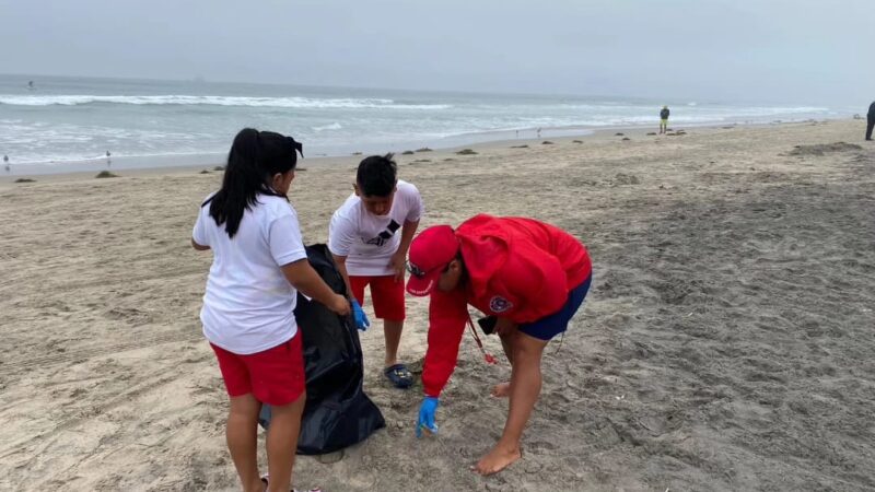 Niños del Campamento de Verano 2023 en Playas de Rosarito se unen en jornada de limpieza