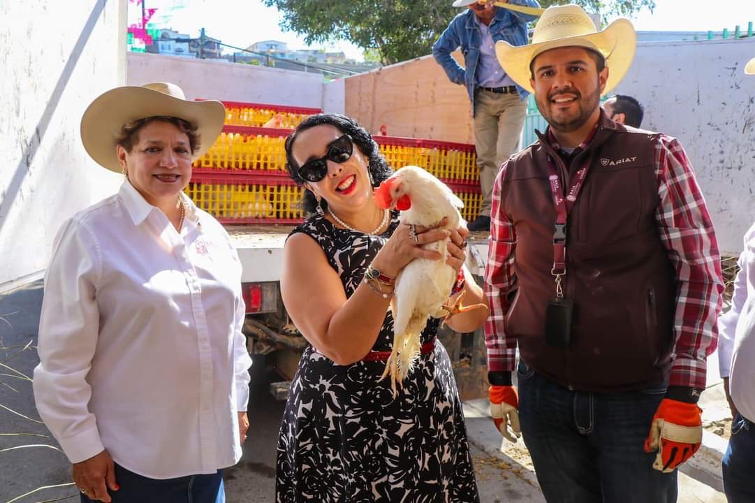 Entrega de Aves Ponedoras en Playas de Rosarito Impulsa la Seguridad Alimentaria