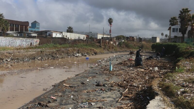 Zofemat Realiza Limpieza Costera en Playas de Rosarito