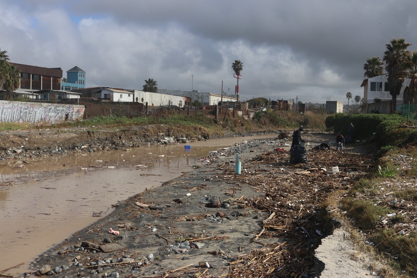 Zofemat Realiza Limpieza Costera en Playas de Rosarito