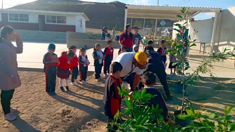 Planta XXV Ayuntamiento de Tijuana más de 160 árboles en la ciudad