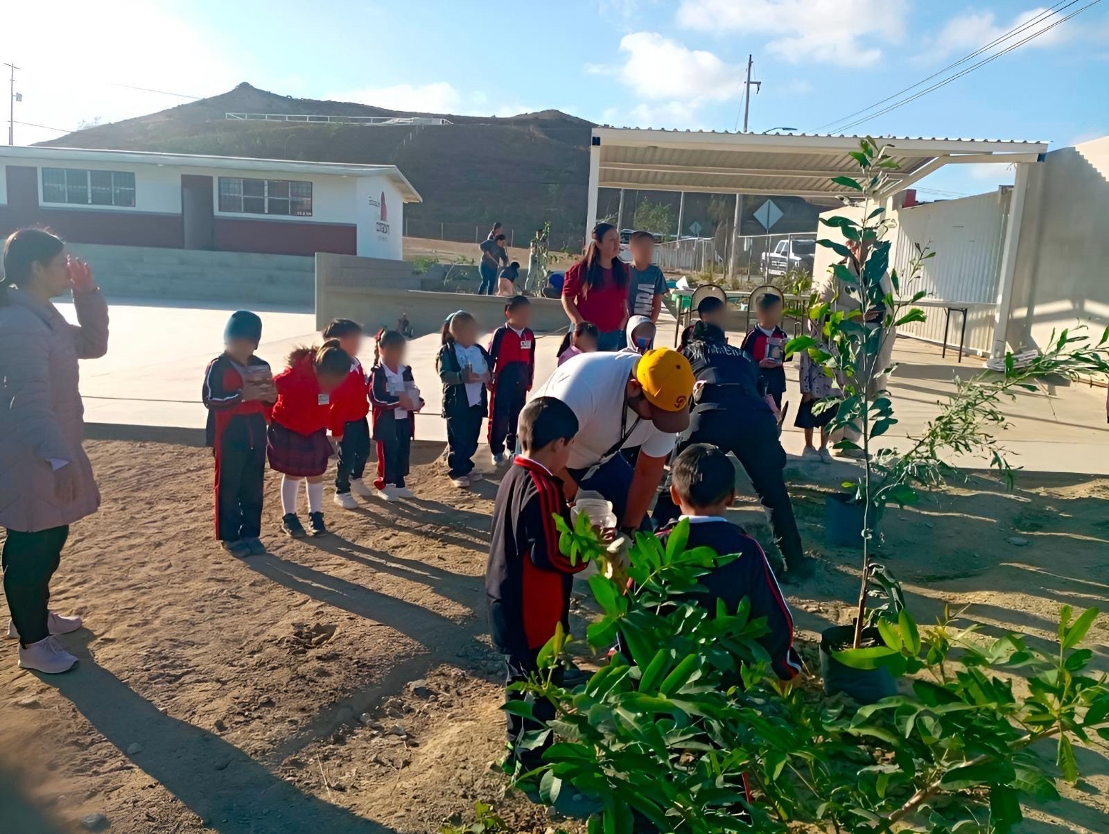 Planta XXV Ayuntamiento de Tijuana más de 160 árboles en la ciudad