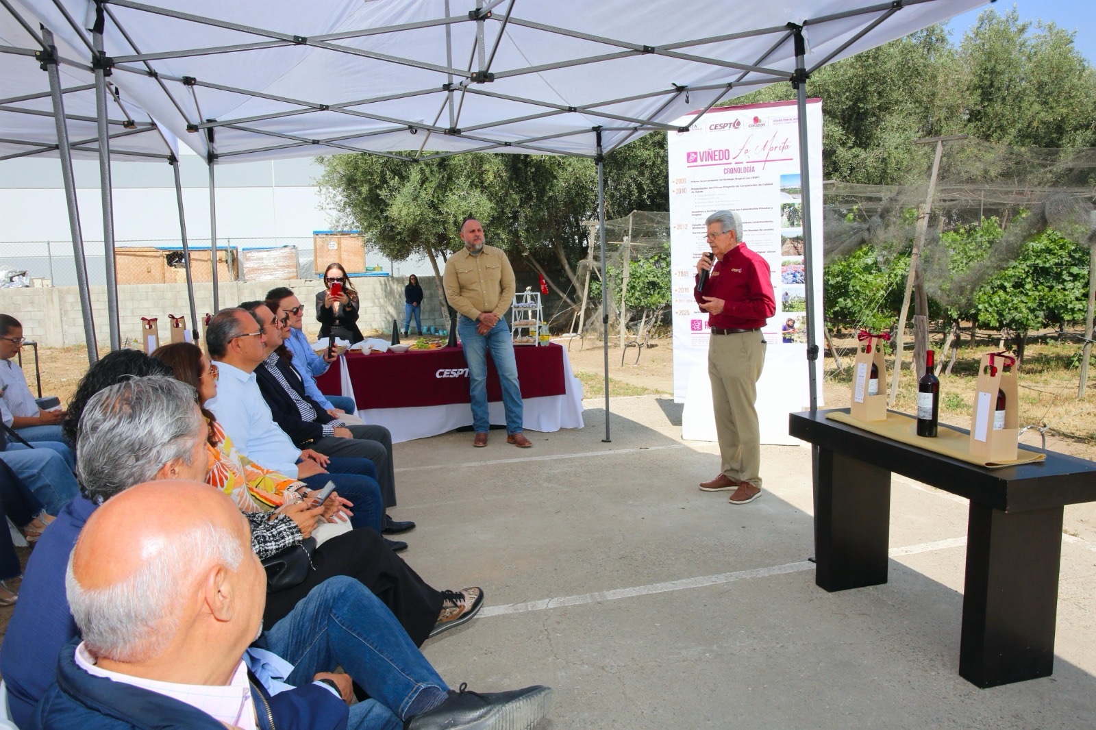 Viñedo de CESPT en Tijuana usa agua tratada para producir vino