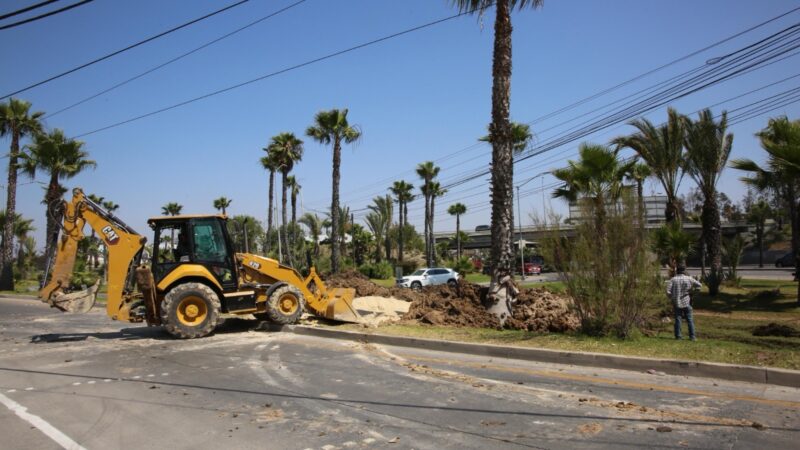 Reparación de fuga en Otay permite restablecer agua en 31 colonias