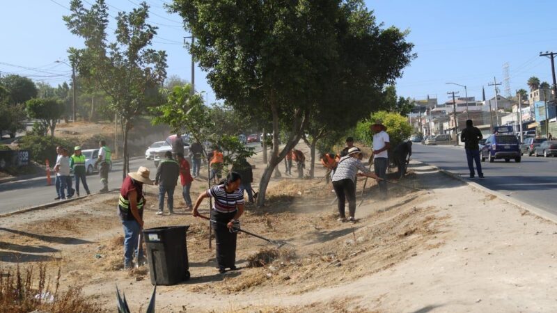 Encabeza Ismael Burgueño Ruiz Macro Jornada de Limpieza en la Zona Este de Tijuana
