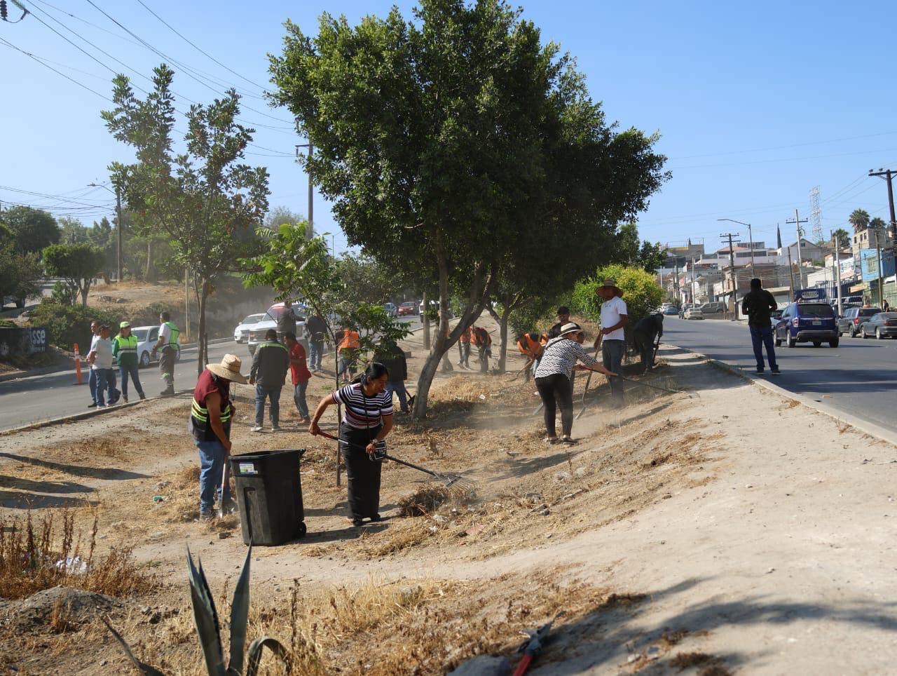 Encabeza Ismael Burgueño Ruiz Macro Jornada de Limpieza en la Zona Este de Tijuana