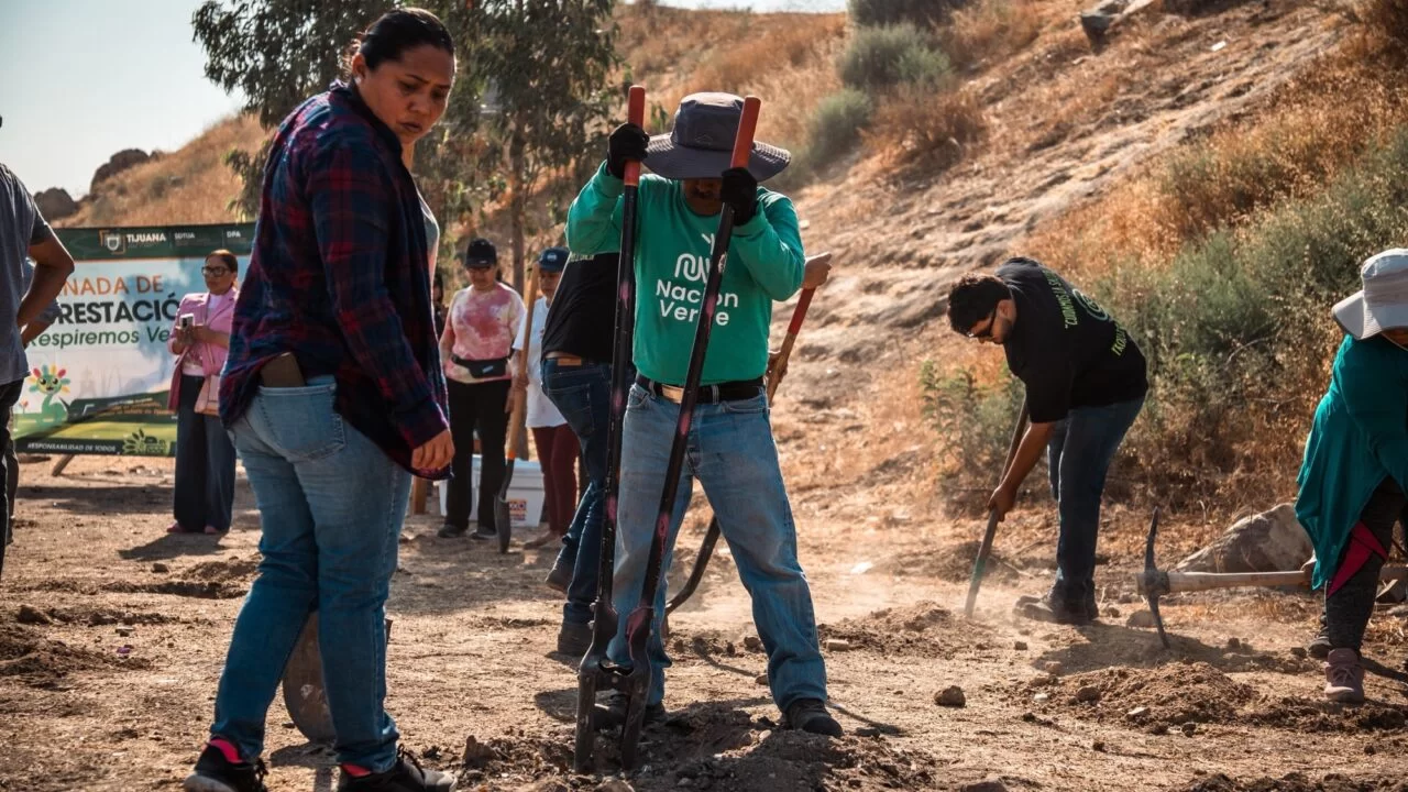 Plantan más de 190 árboles en colonia Tijuana Progreso