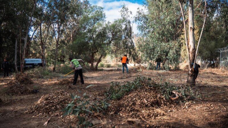 Tijuana limpia Parque Morelos con retiro de 40 toneladas