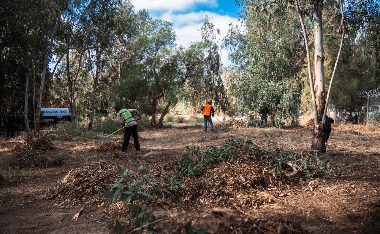 Tijuana limpia Parque Morelos con retiro de 40 toneladas