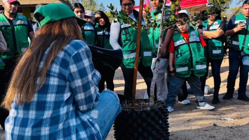Reforesta Gobierno Municipal Parque de la Amistad con especies nativas