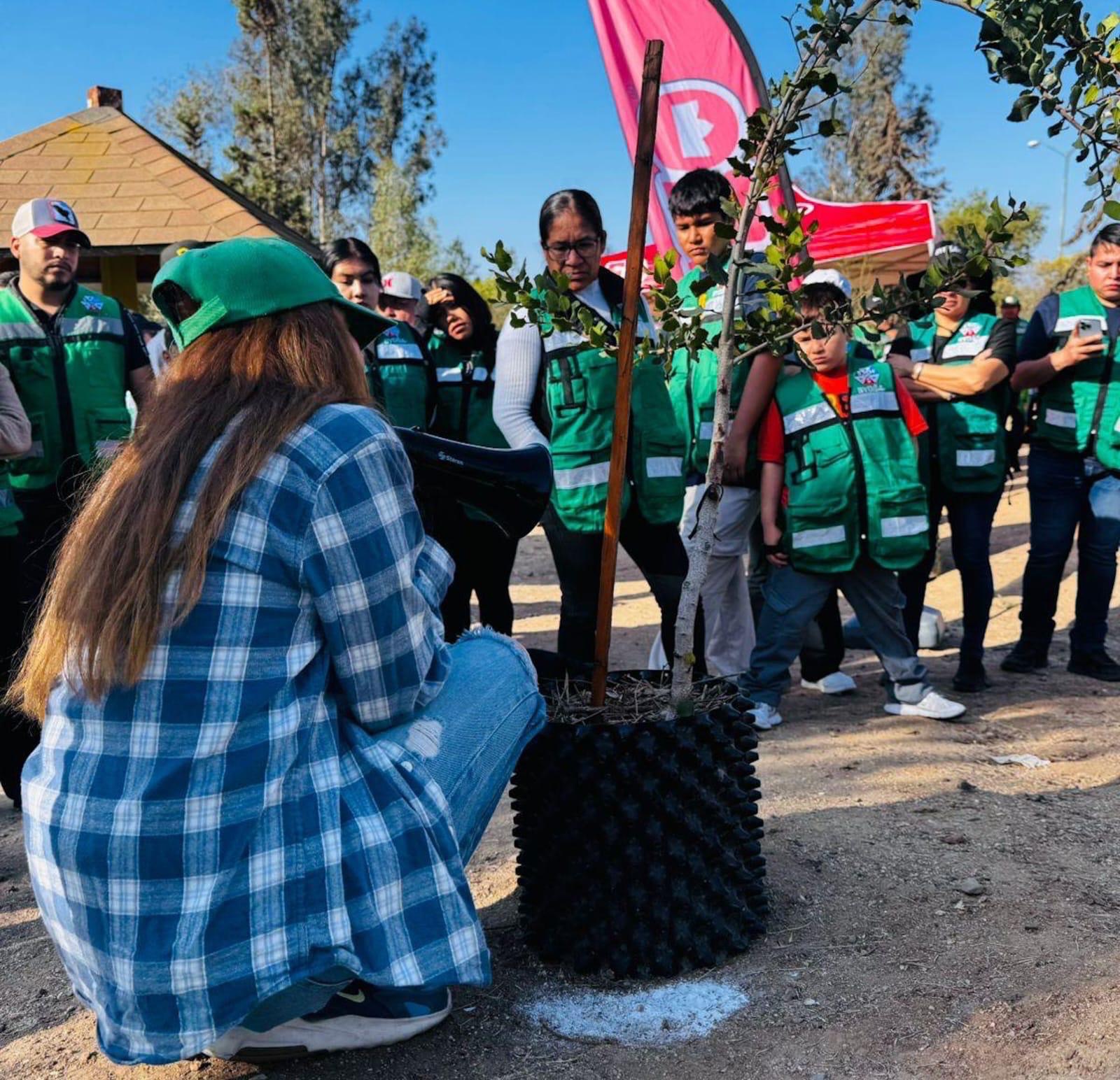 Reforesta Gobierno Municipal Parque de la Amistad con especies nativas