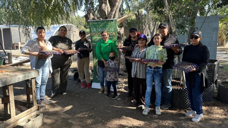 Promueve Gobierno de Tijuana talleres de Huertos y Jardines Polinizadores