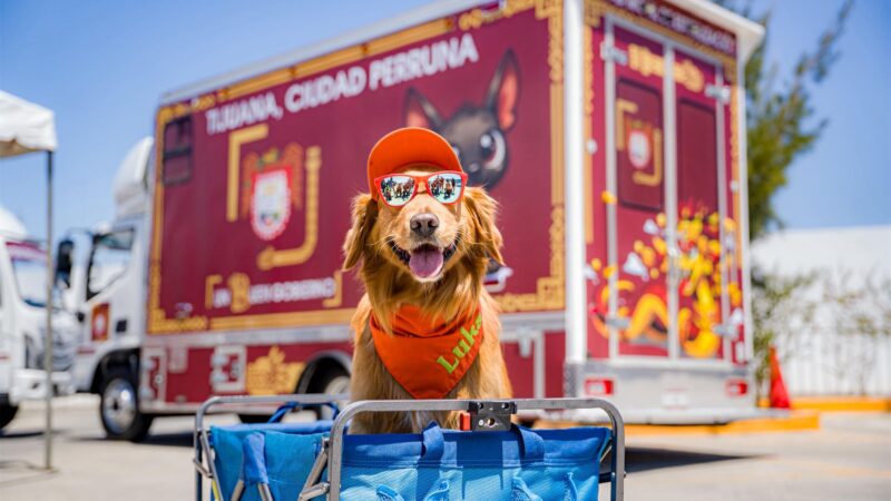 Tijuana lanza unidades móviles para esterilizar mascotas