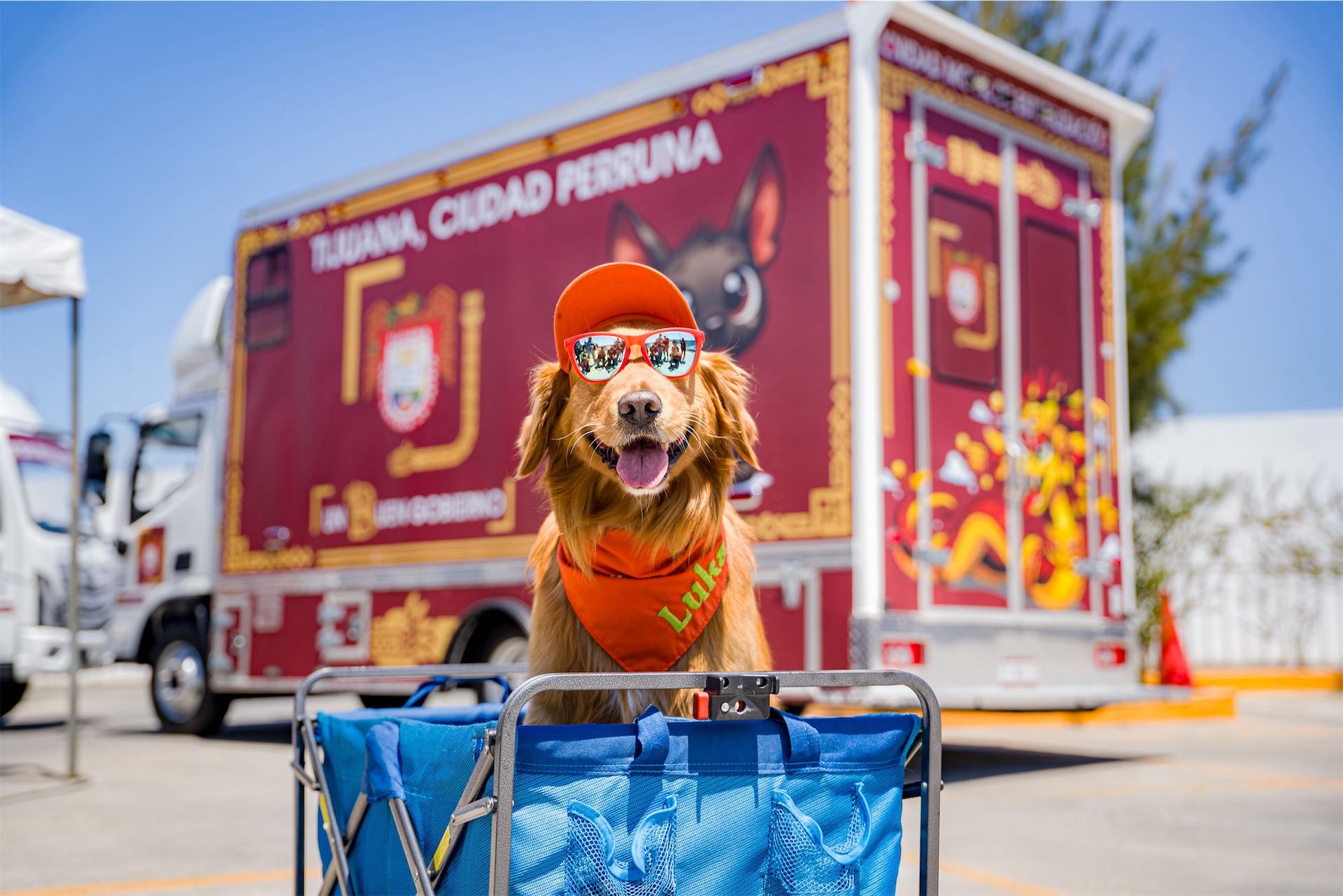 Tijuana lanza unidades móviles para esterilizar mascotas