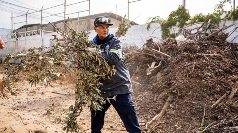 Retira Tijuana más de 55 toneladas de basura en Otay Centenario, La Mesa y Sánchez Taboada