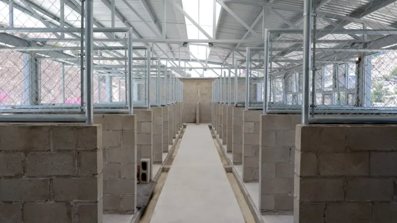 Centro de Control Animal de Tijuana ampliará su capacidad y tendrá consultorio veterinario
