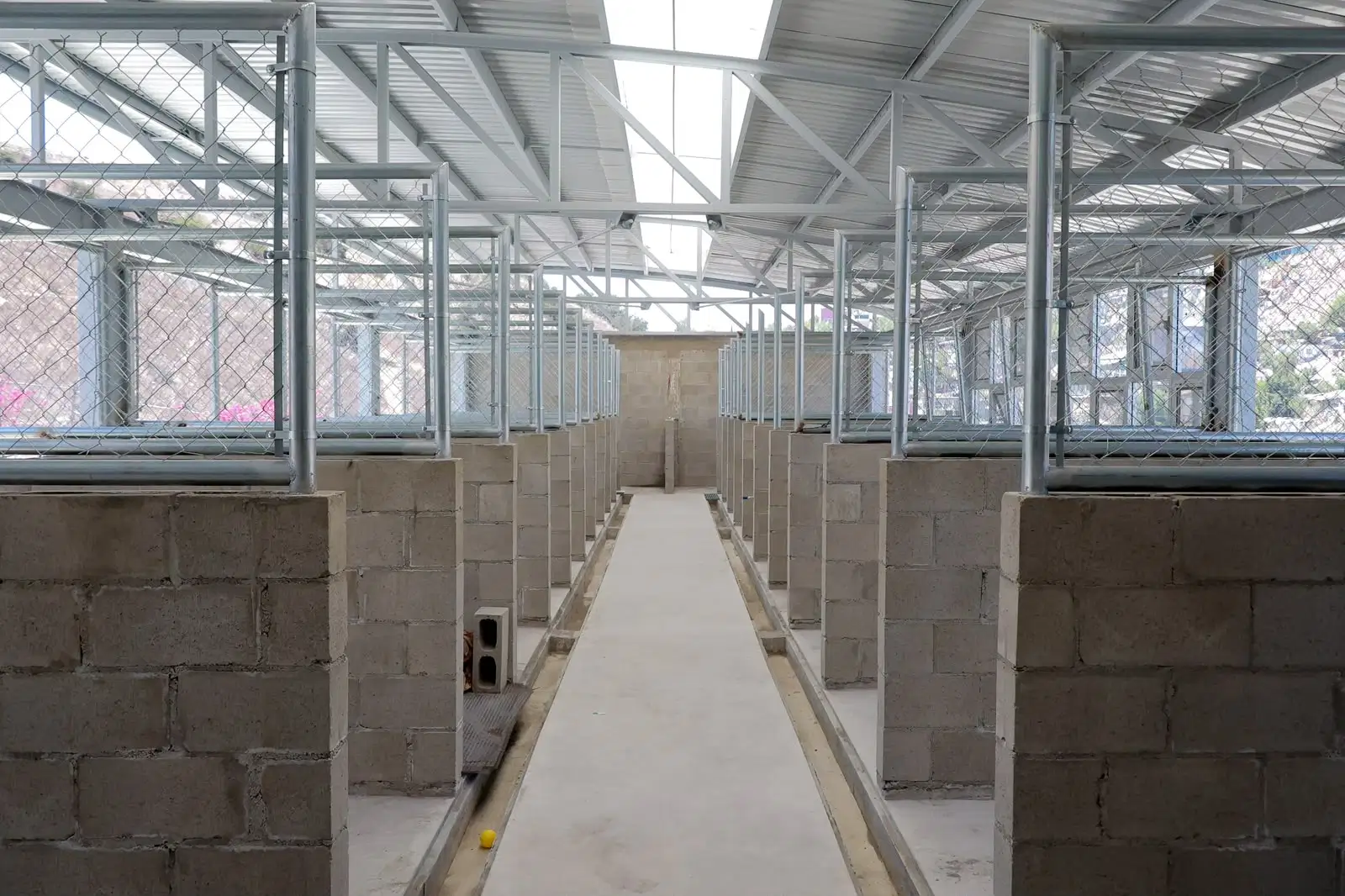 Centro de Control Animal de Tijuana ampliará su capacidad y tendrá consultorio veterinario