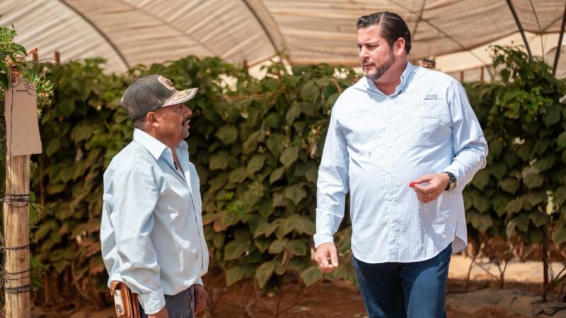 Burgueño lleva asamblea con jornaleros al Valle de San Quintín