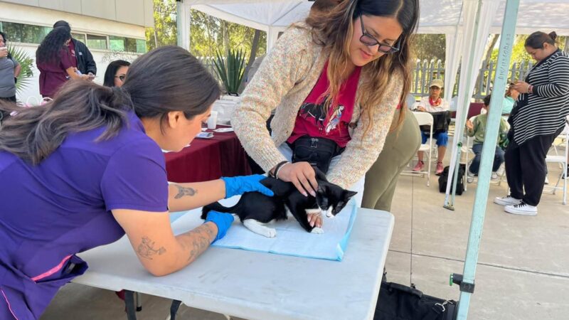 Llevan servicios veterinarios gratuitos a Otay Centenario en Tijuana