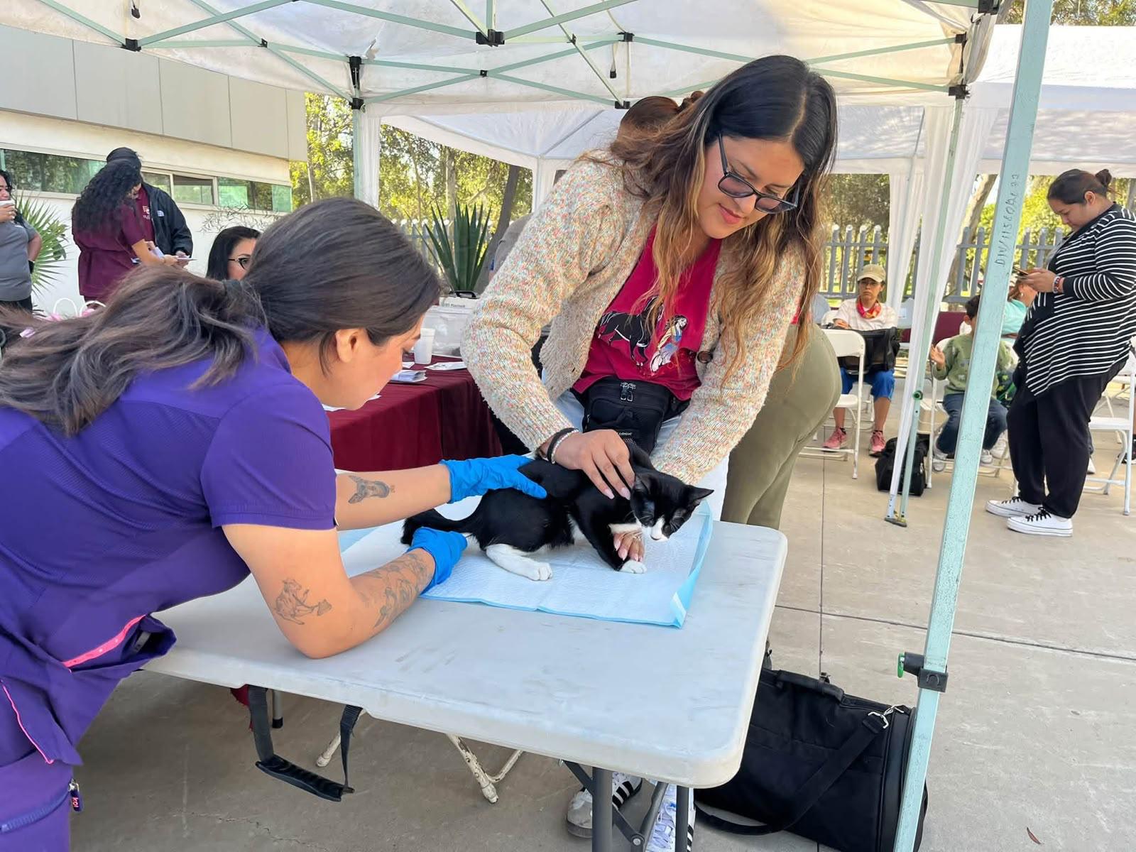 Llevan servicios veterinarios gratuitos a Otay Centenario en Tijuana